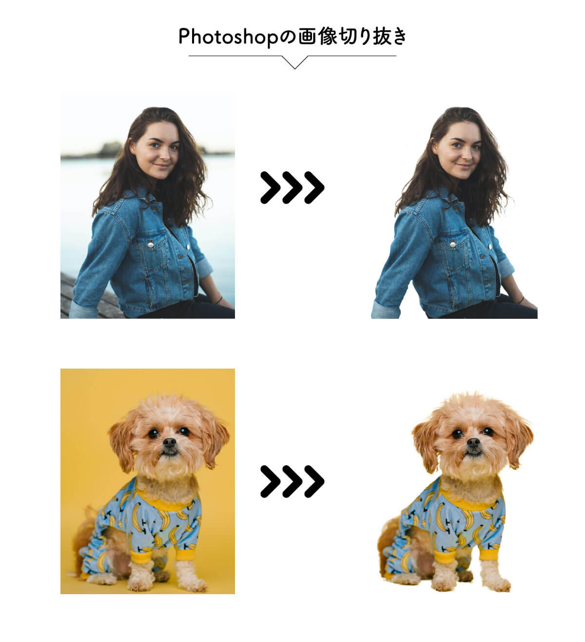 Photoshopで画像を切り抜いた例