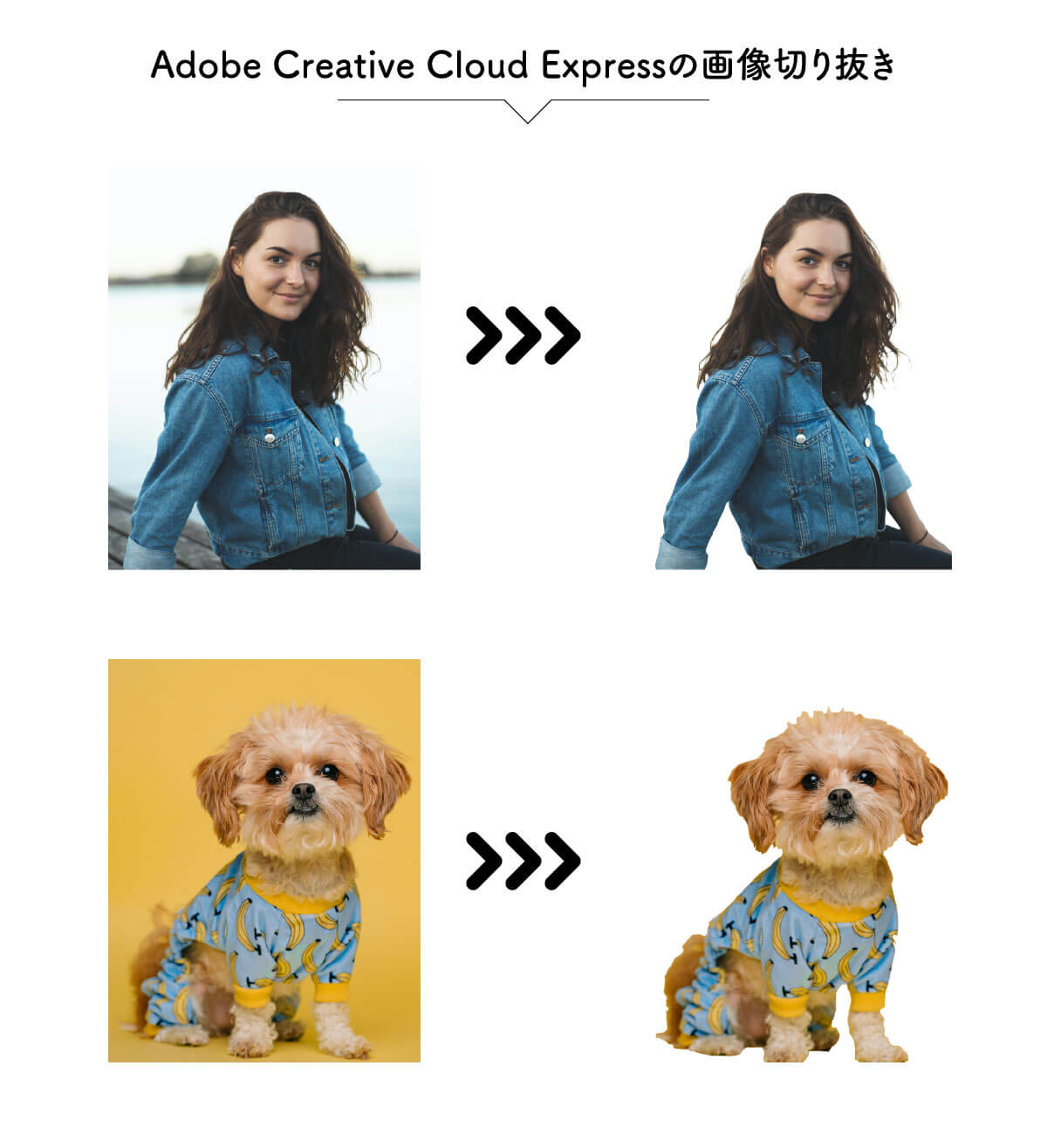 Adobe Creative Cloud Expressで画像を切り抜いた例